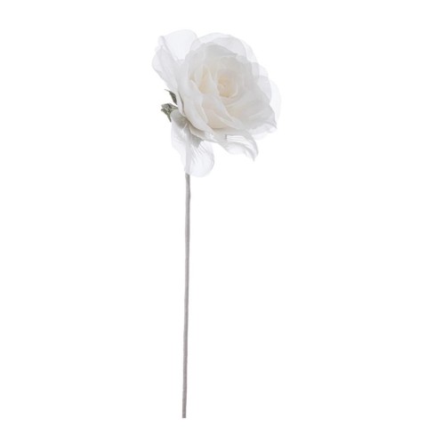 ROSA ALEISHA CREMA H.12